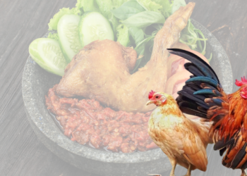 Ketika Ayam Goreng Menjadi Isu Serius: Kontroversi Kehalalan dan Krisis Kepercayaan Publik