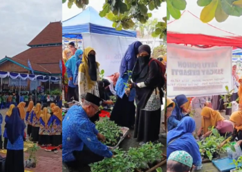 PonpesMu Manafi’ul ‘Ulum Sambi Tebar 1.000 Bibit Cabai dan Terong pada Resepsi Milad ke-113 Muhammadiyah Boyolali