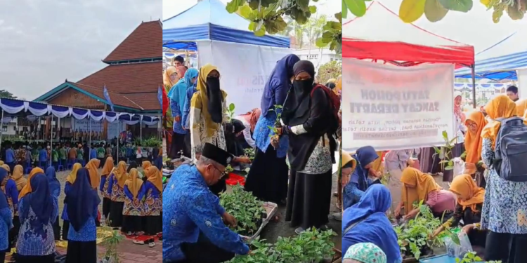 PonpesMu Manafi’ul ‘Ulum Sambi Tebar 1.000 Bibit Cabai dan Terong pada Resepsi Milad ke-113 Muhammadiyah Boyolali